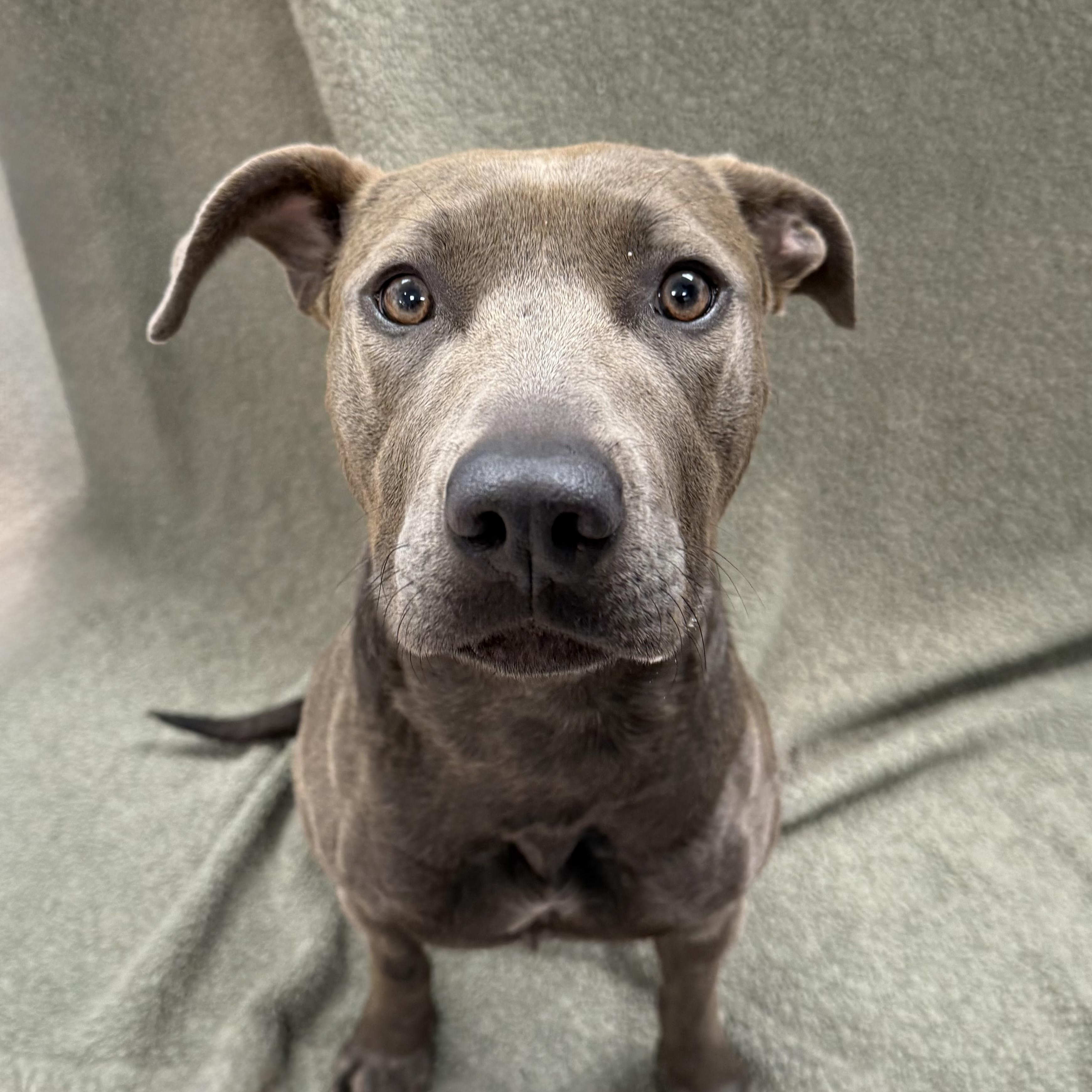 Marceline thumbnail 4