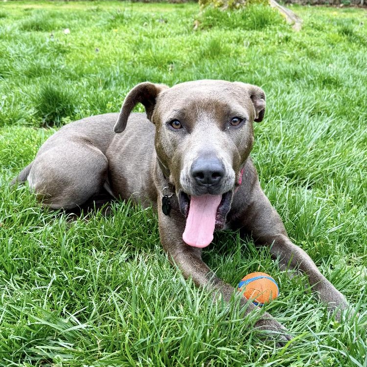 Marceline thumbnail 5