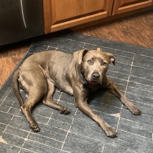 Marceline thumbnail 6