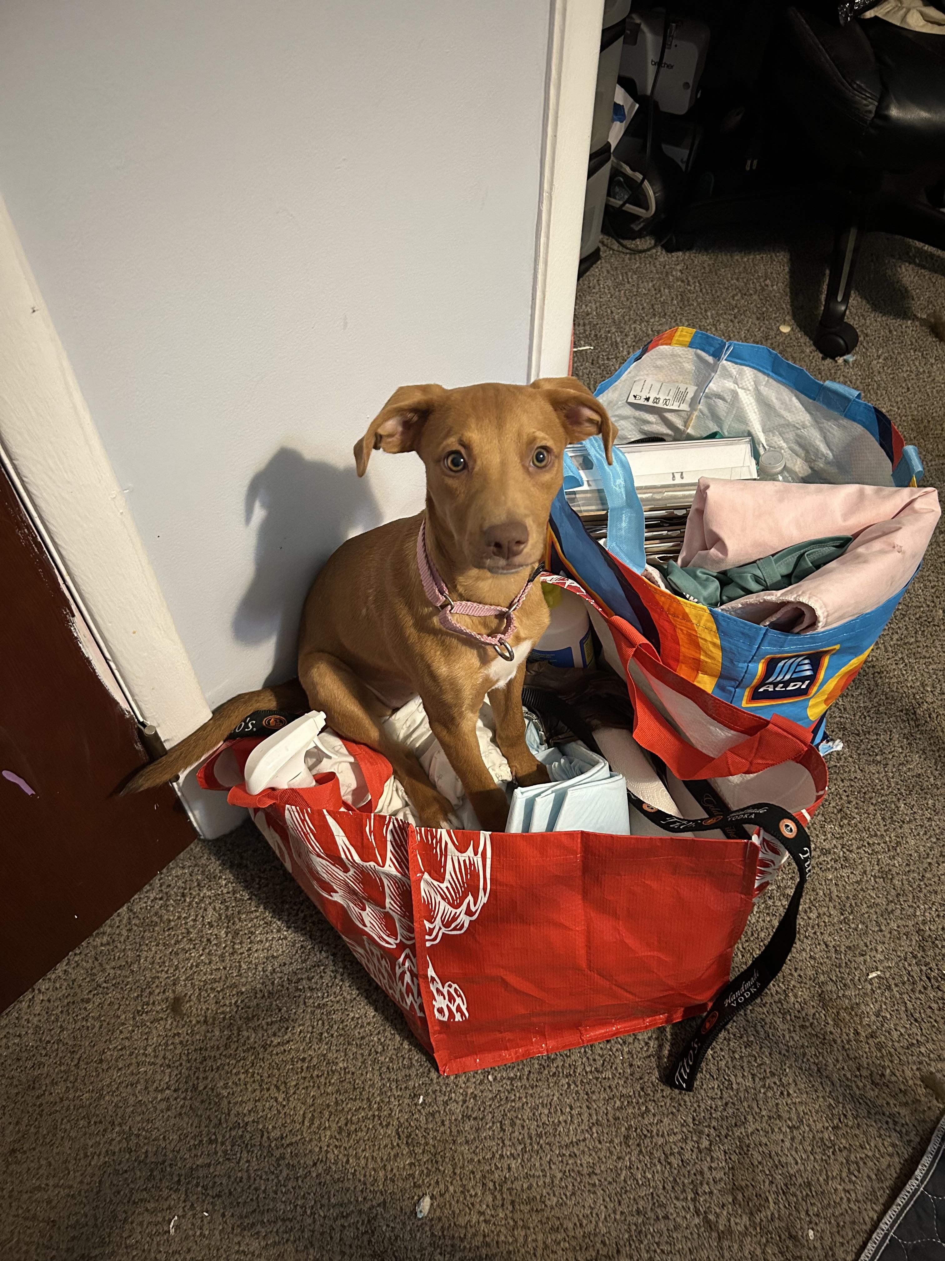Delilah