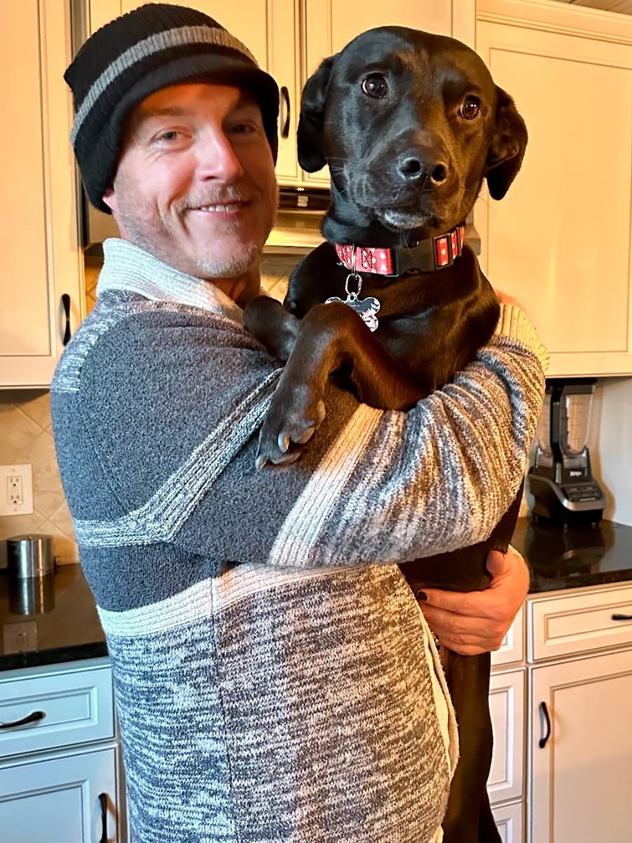 Enlarge Inu, a ADOPTABLE Black Labrador Retriever in Ypsilanti, MI image 3/6