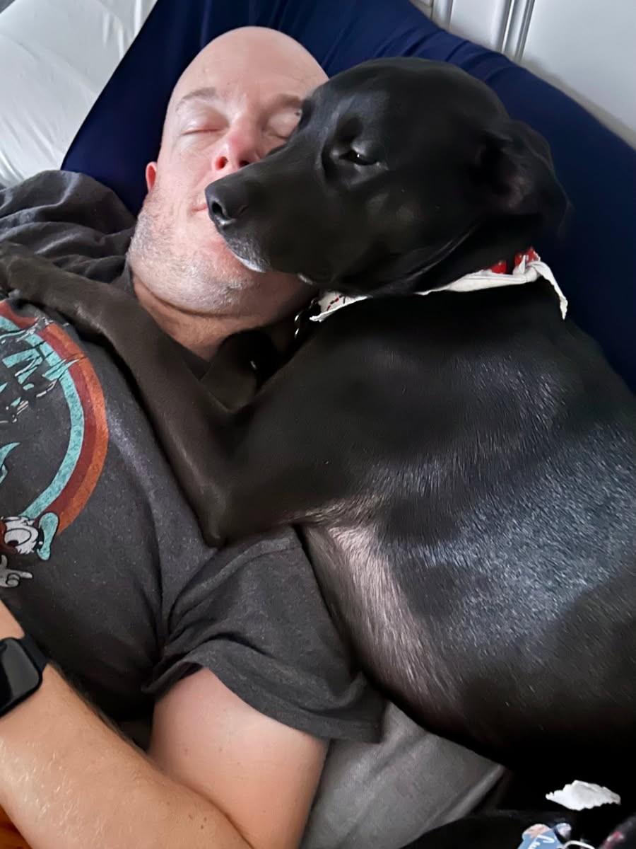 Enlarge Inu, a ADOPTABLE Black Labrador Retriever in Ypsilanti, MI image 5/6