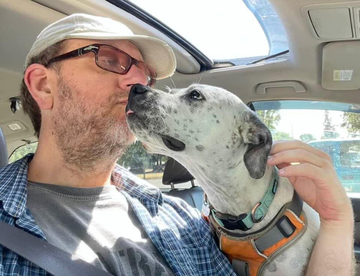 Enlarge Izzy - Urgent, a Adoptable mixed breed in Willits , CA image 5/5