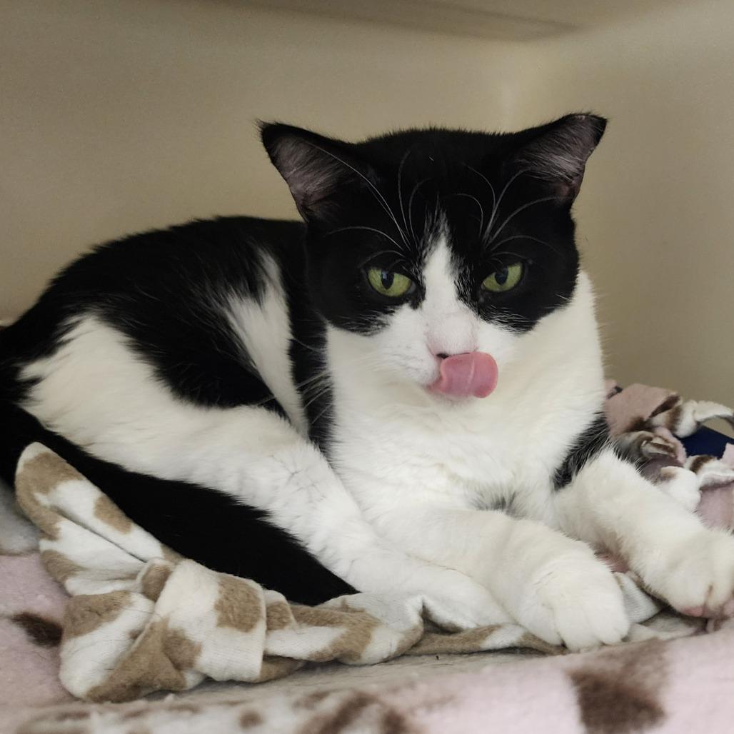 Suju — thumbnail 4