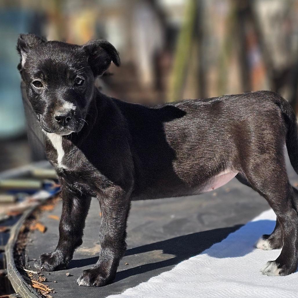 Kessi — thumbnail 3