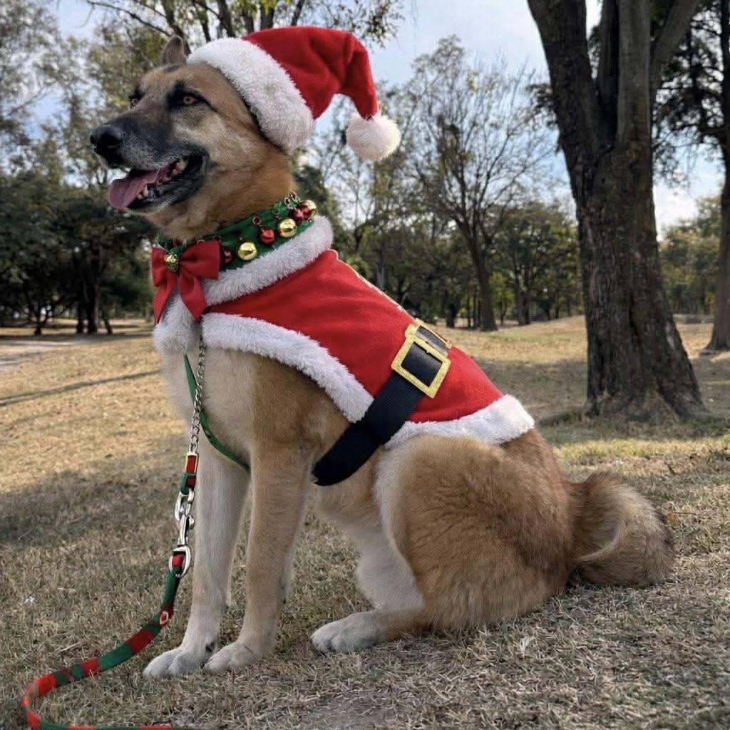 Tibet (20241223-01) — thumbnail 3