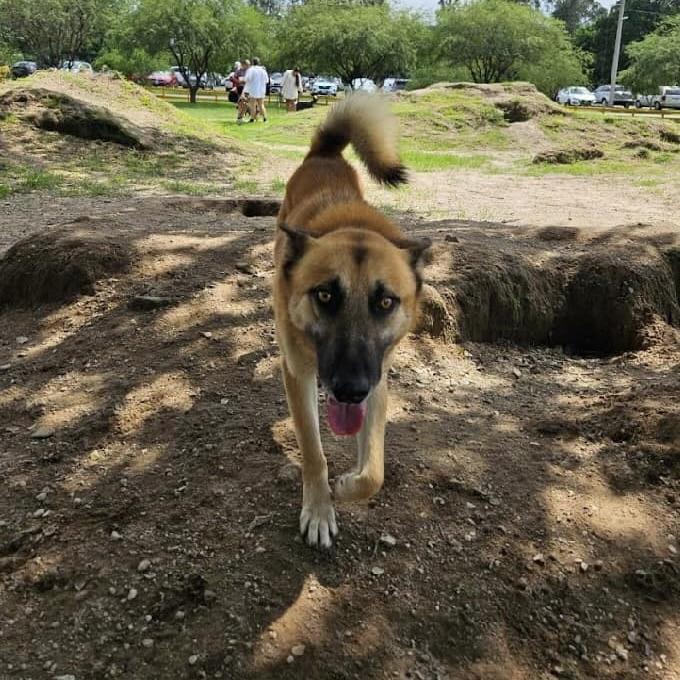 Tibet (20241223-01) — thumbnail 4