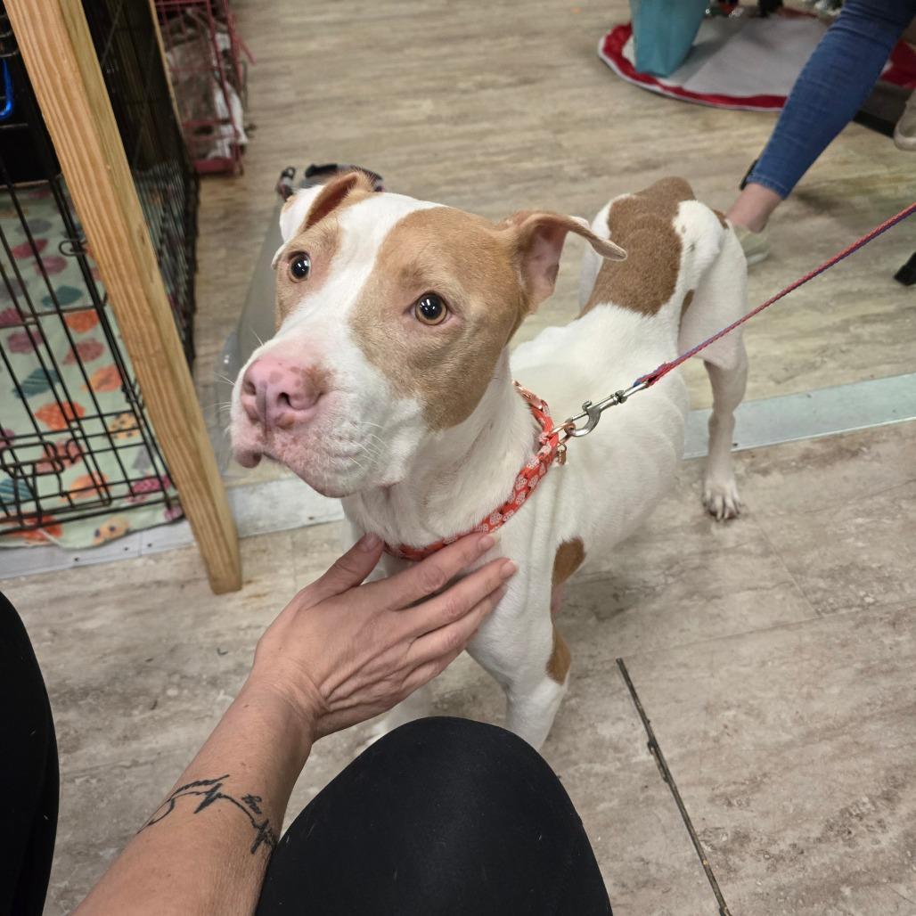 Juliana — thumbnail 2