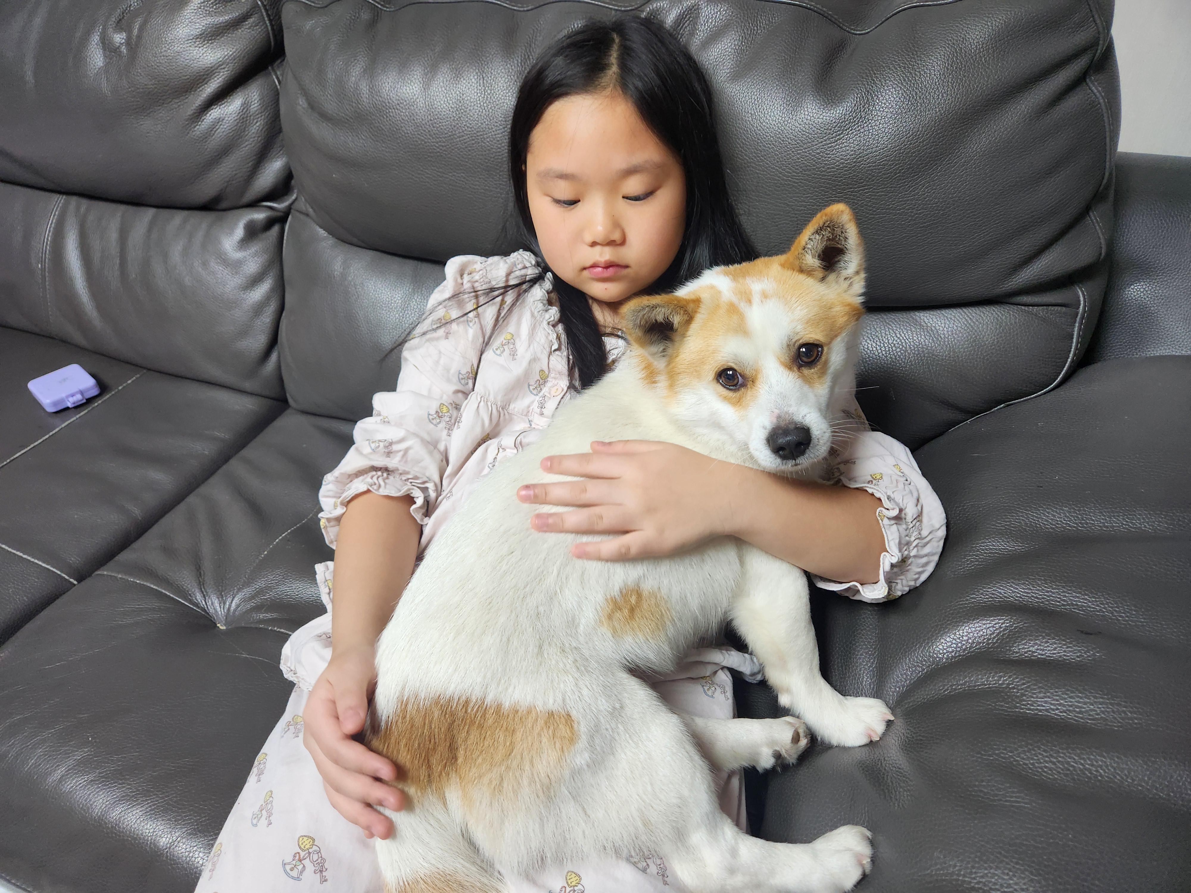 Enlarge ASHER, a ADOPTABLE mixed breed in Centreville, VA image 3/6