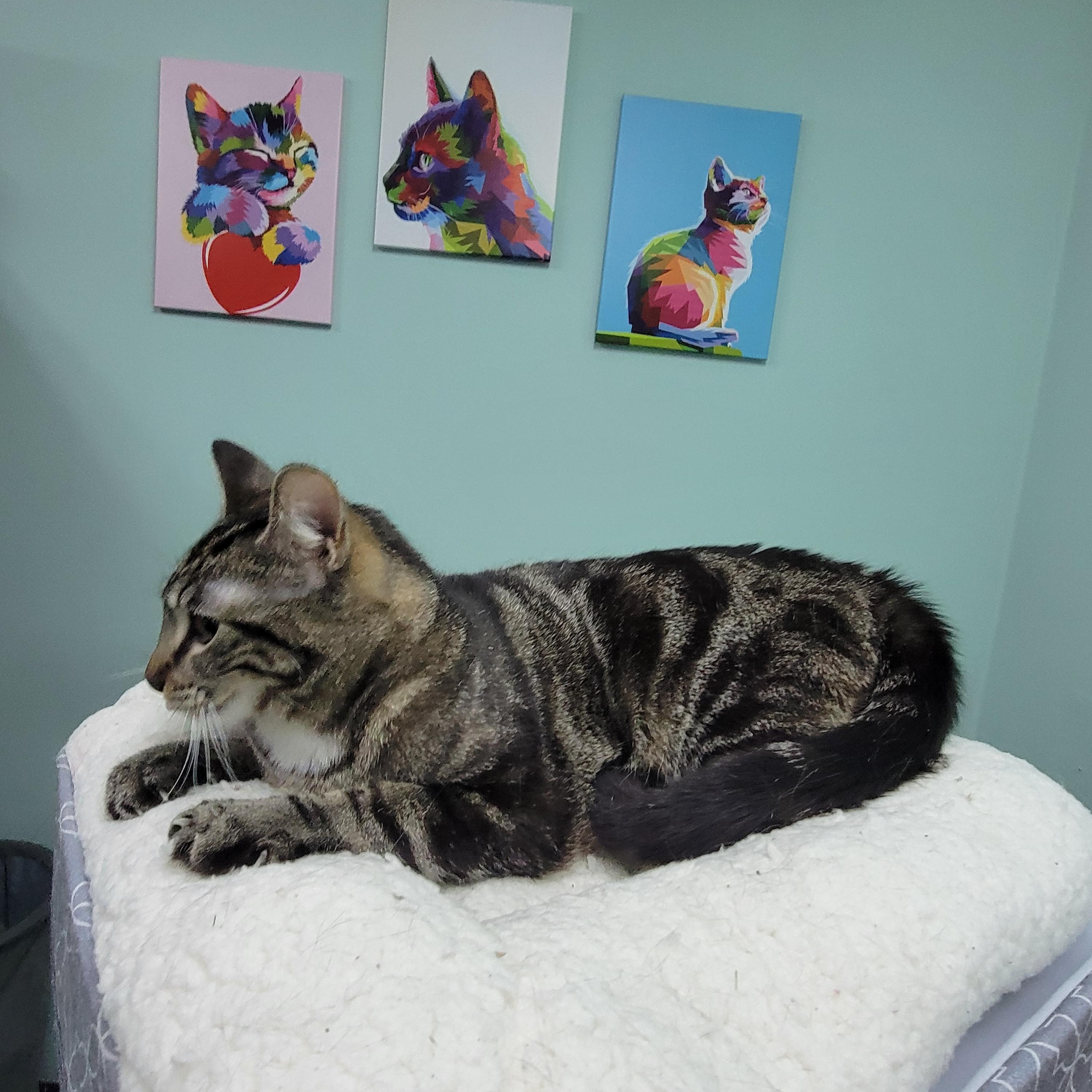 Hazel - My sister Auora is also listed