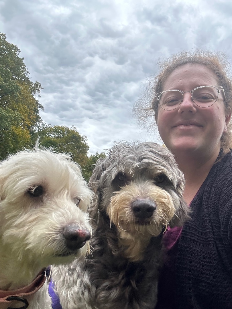 Enlarge Theo, a Adopted mixed breed in Palisades Park, NJ image 2/4