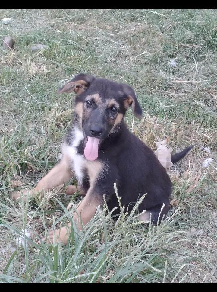 Coco