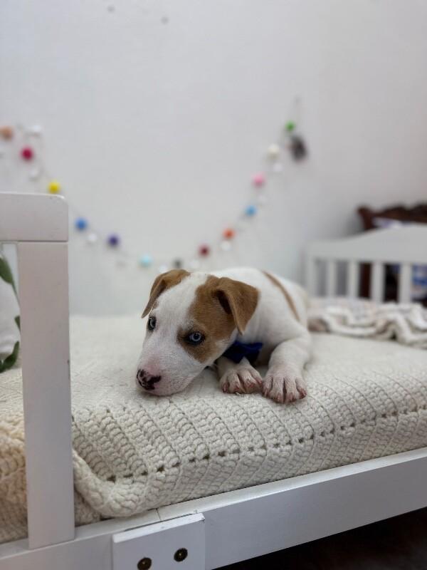 Walter White — thumbnail 3