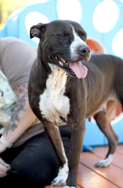 Elodie — thumbnail 3