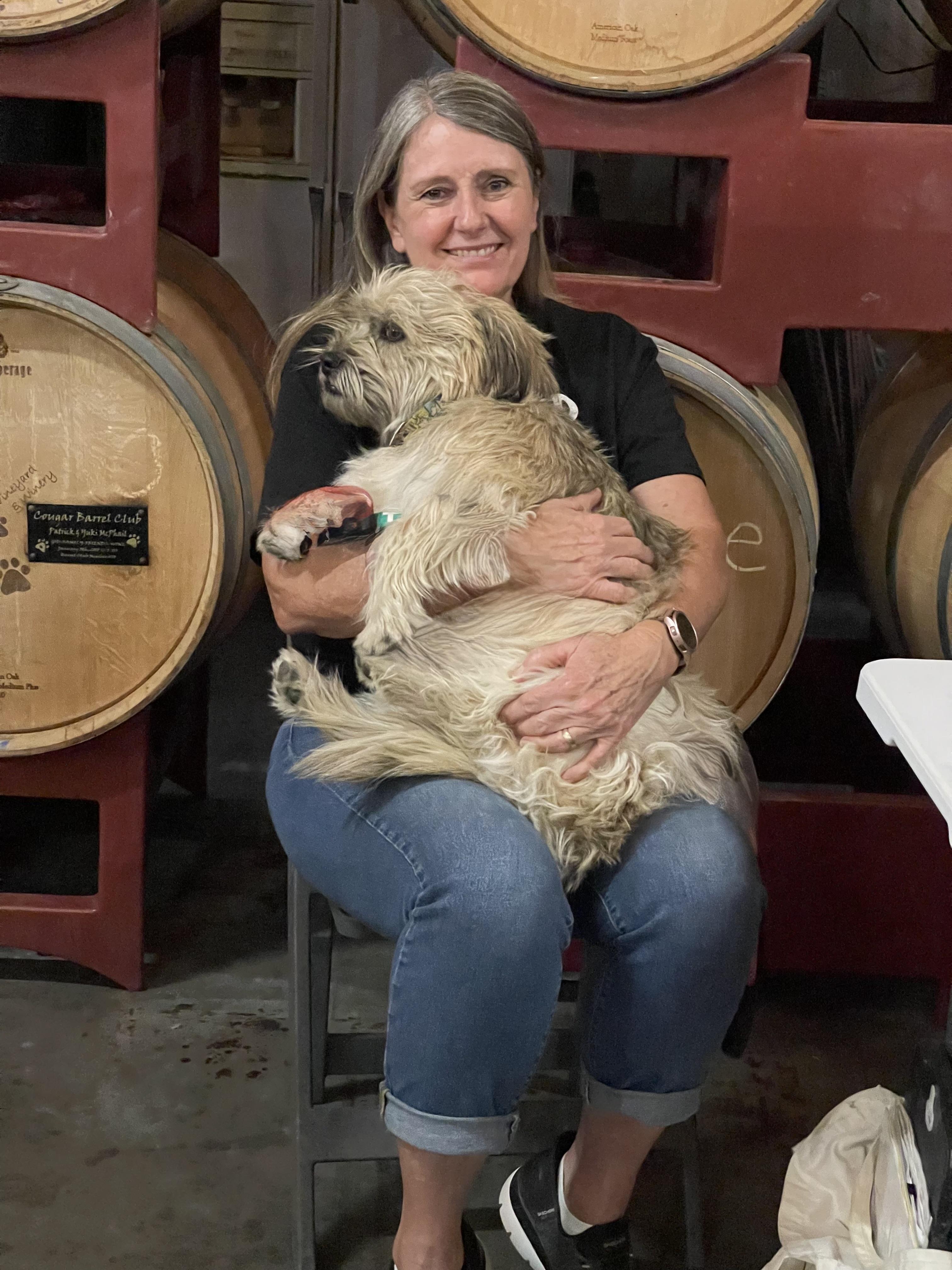 Enlarge Pudding, a Adoptable mixed breed in MURRIETA, CA image 4/5