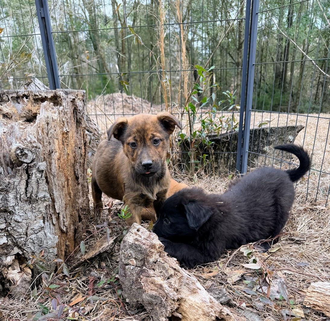 BENJAMIN (BENNY) — thumbnail 5