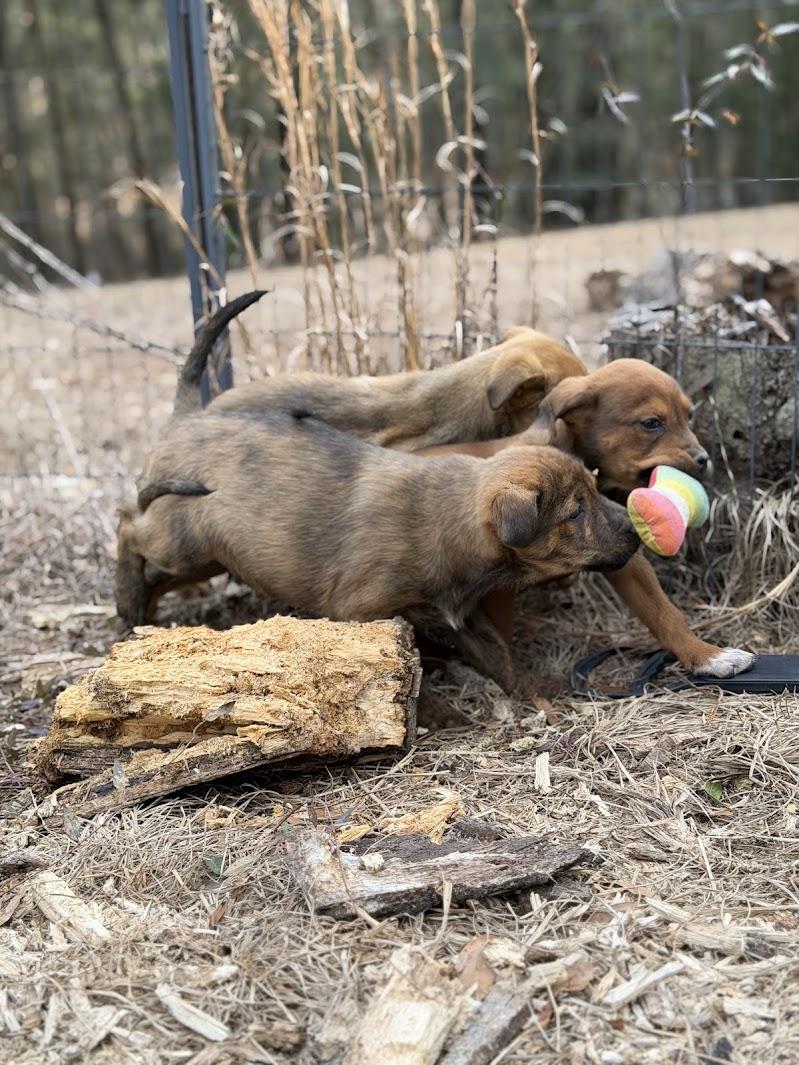 BENJAMIN (BENNY) — thumbnail 6