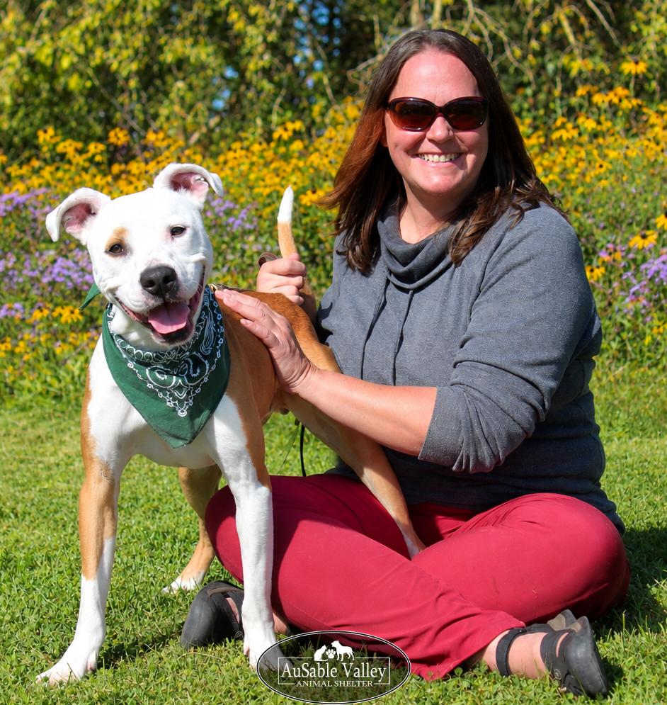 Enlarge Bacon, a Adoptable mixed breed in Grayling, MI image 2/6