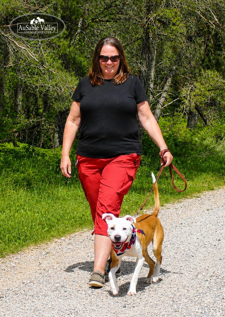Enlarge Bacon, an adoptable mixed breed in Grayling, MI image 3/6