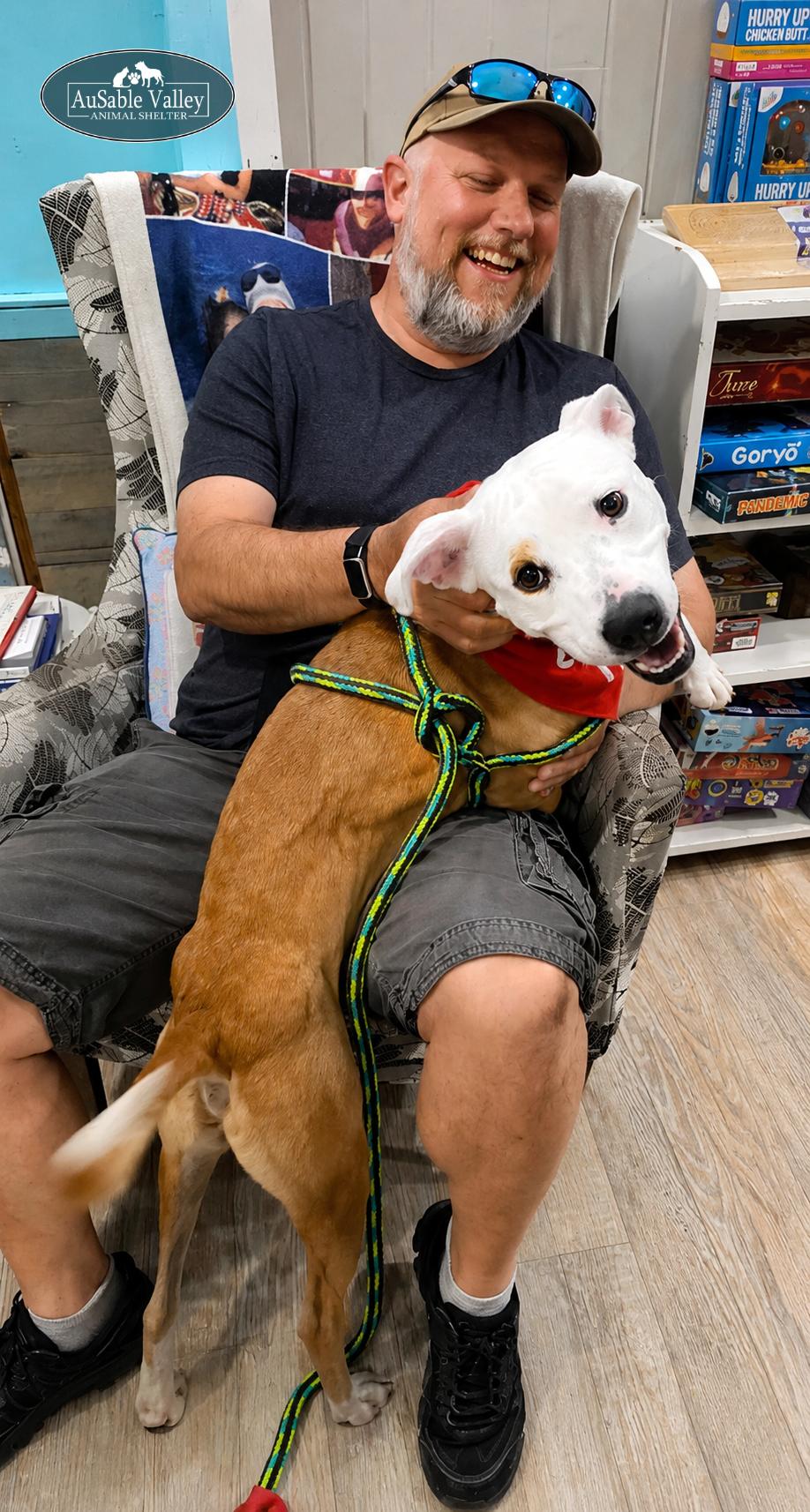 Bacon, an adoptable mixed breed in Grayling, MI image 3/6