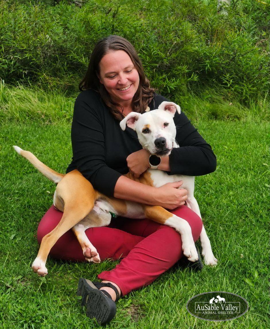 Enlarge Bacon, an adoptable mixed breed in Grayling, MI image 2/6