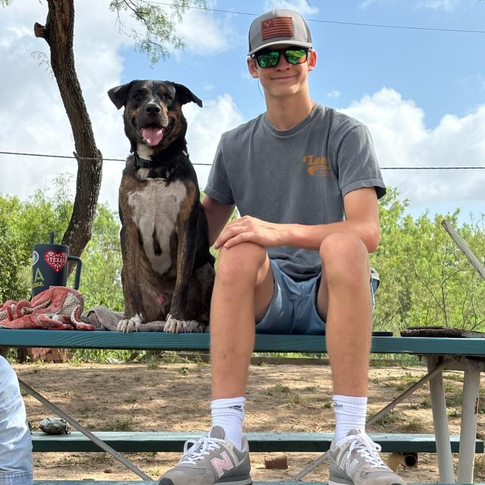 Enlarge Wemby, a Adoptable mixed breed in San Antonio, TX image 5/5