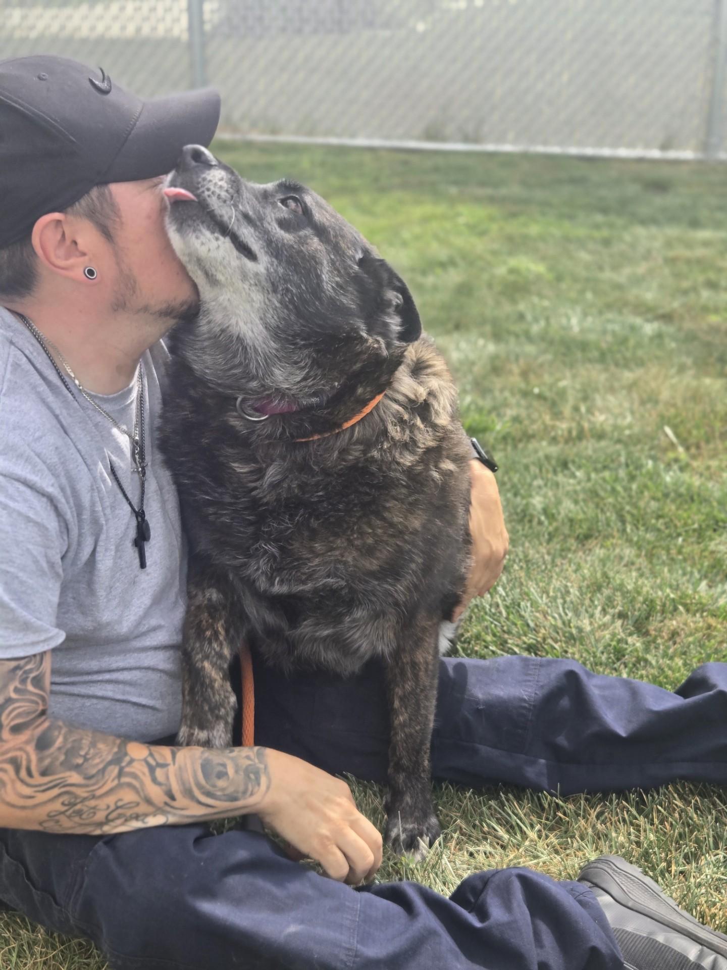 Lucy, a Adoptable mixed breed in Joliet, IL image 3/3