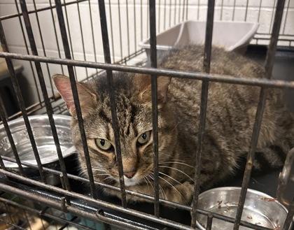 Manuel — thumbnail 2