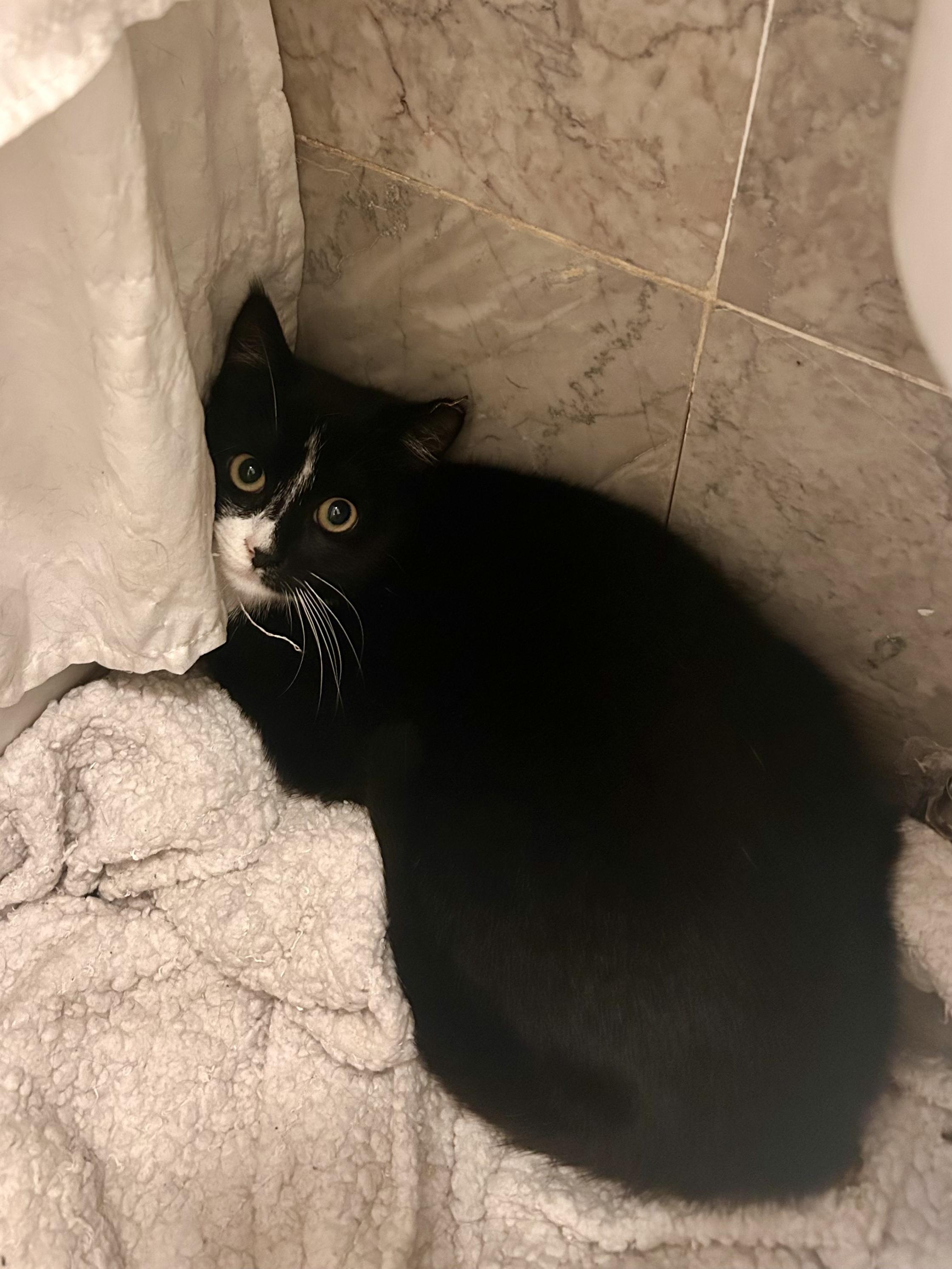 Mickey&minnie thumbnail 2