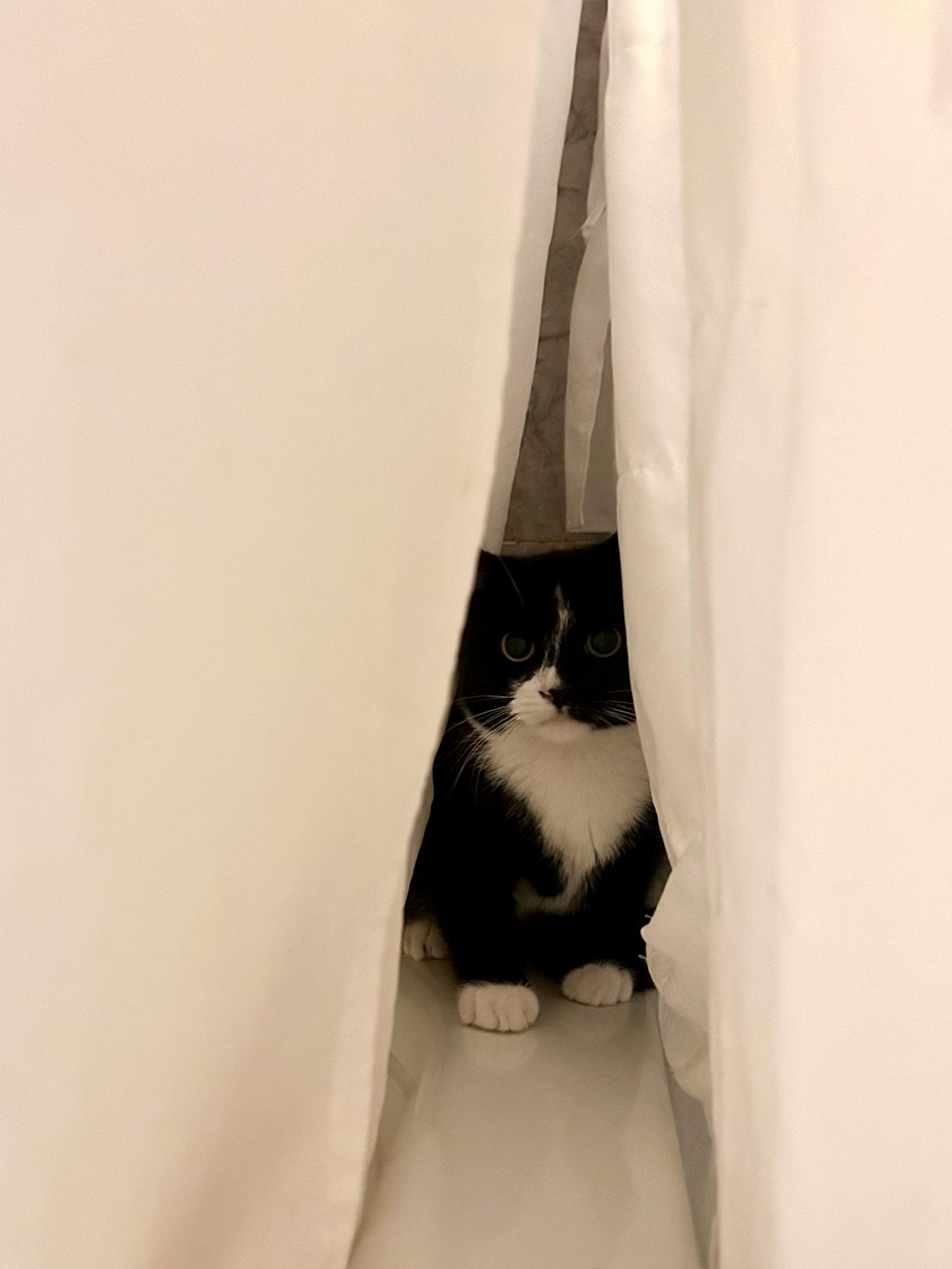 Mickey&minnie thumbnail 4