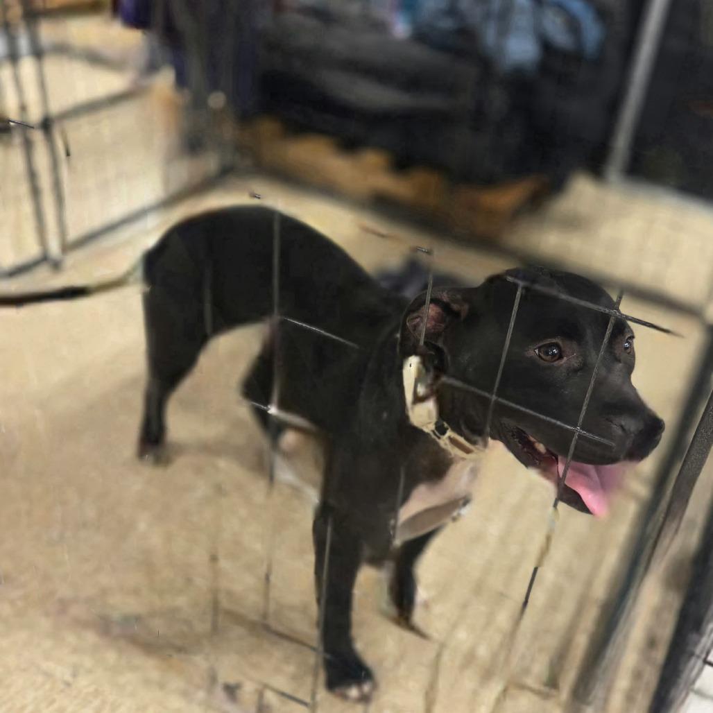 Sunny — thumbnail 5