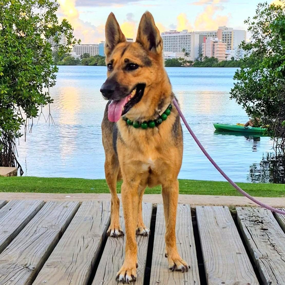 Ema "pure Love." thumbnail 3