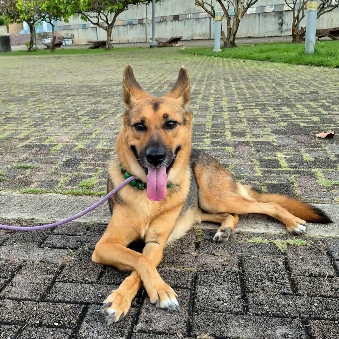 Ema "pure Love." thumbnail 5