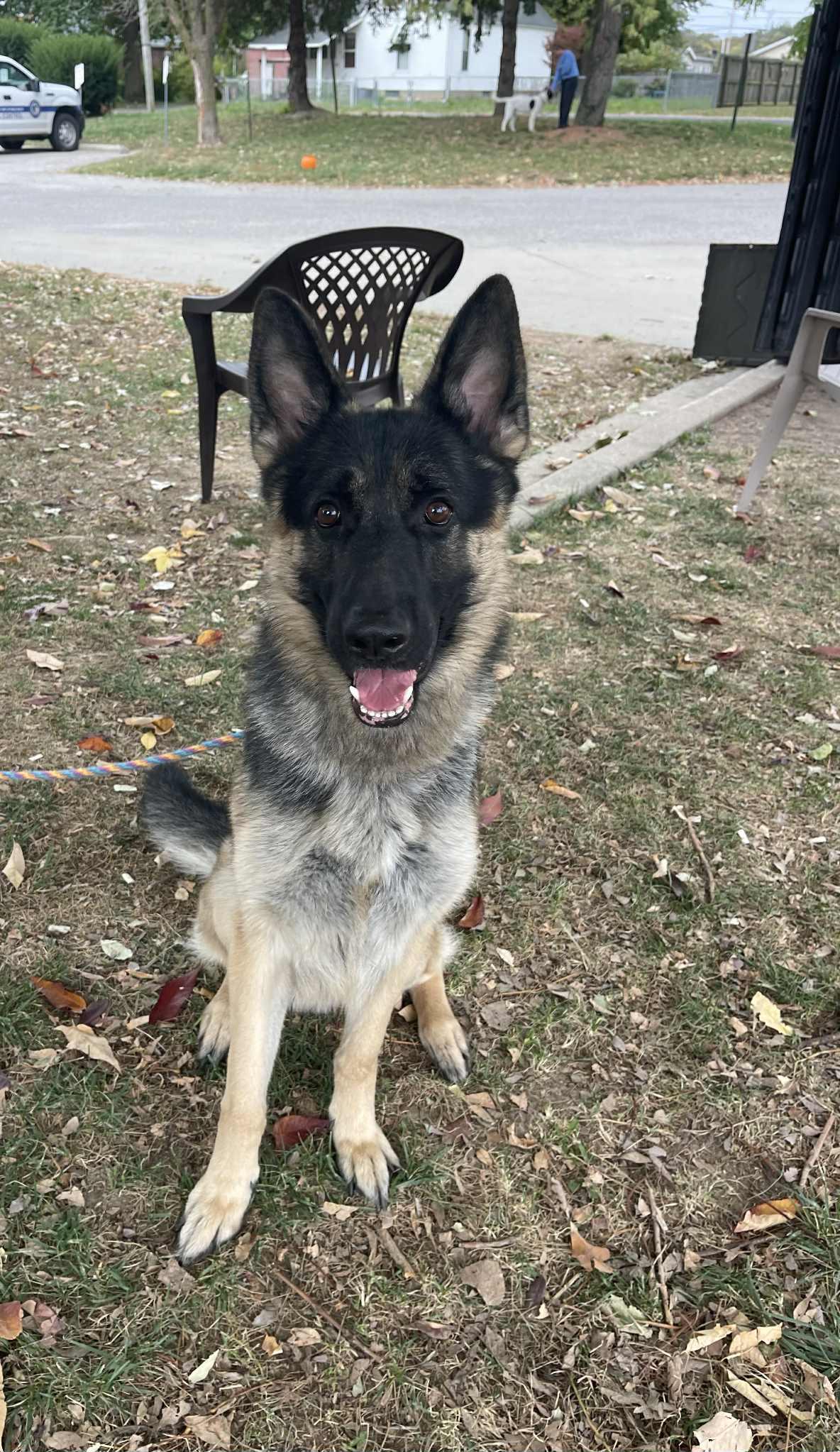 Reggie