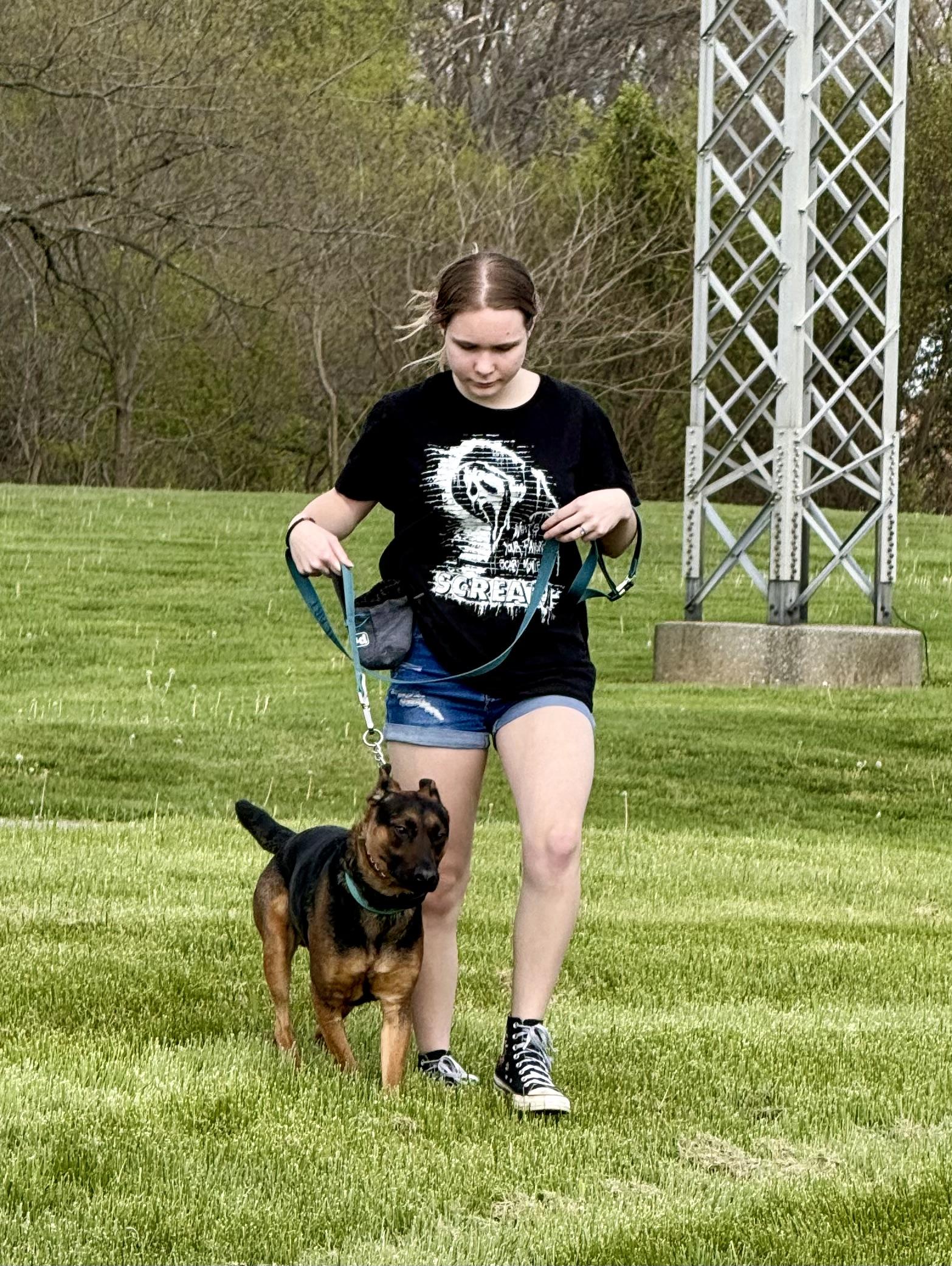 Enlarge Joey, a Adoptable mixed breed in Corydon, IN image 6/6