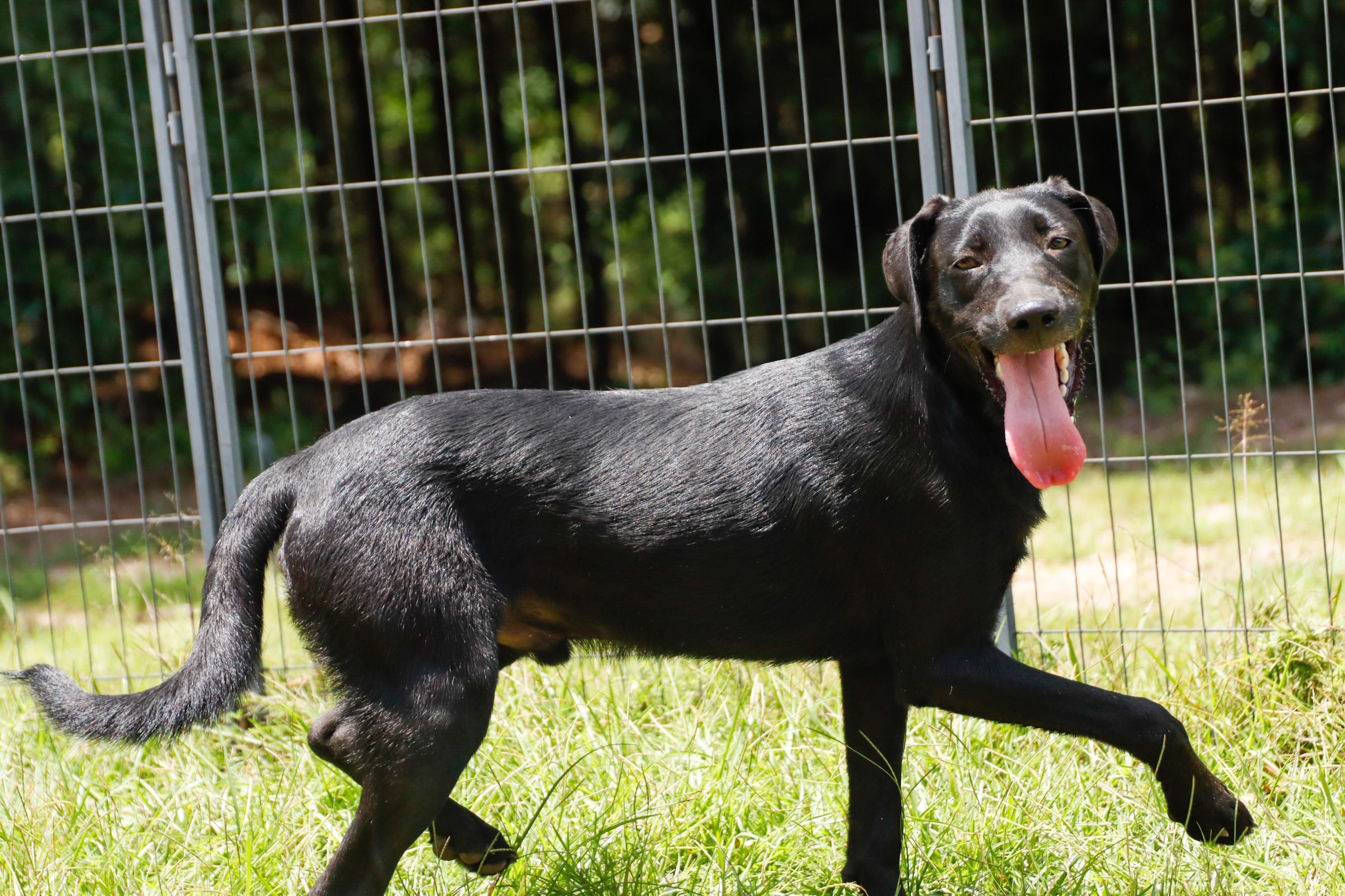 REAPER — thumbnail 3