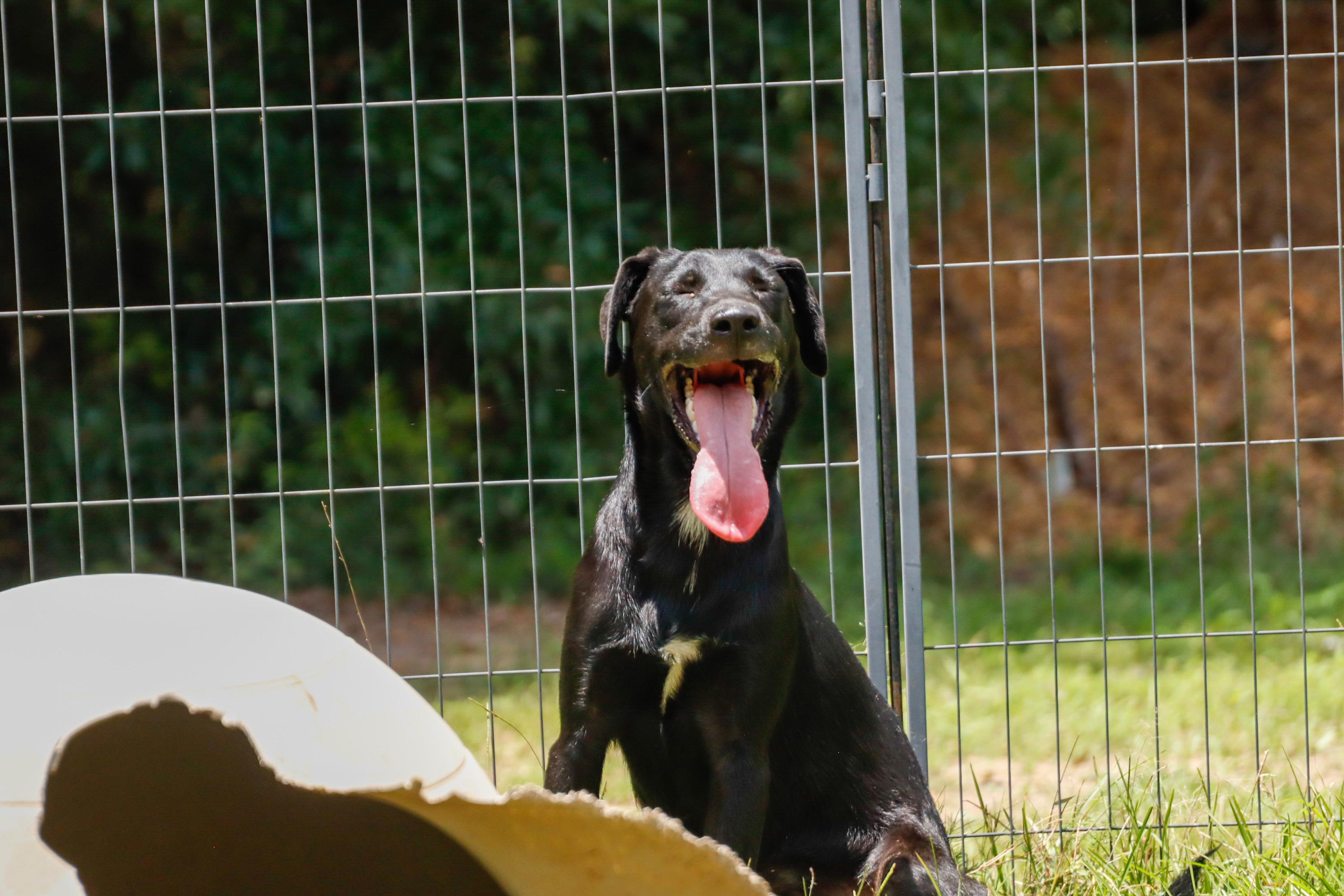 REAPER — thumbnail 4