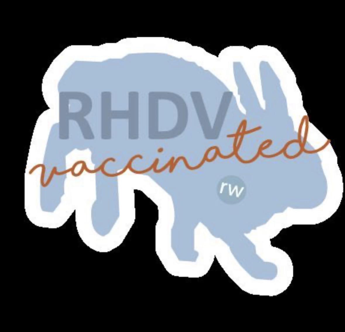 Enlarge Coco, a ADOPTABLE Lionhead in Pittsburgh, PA image 4/4