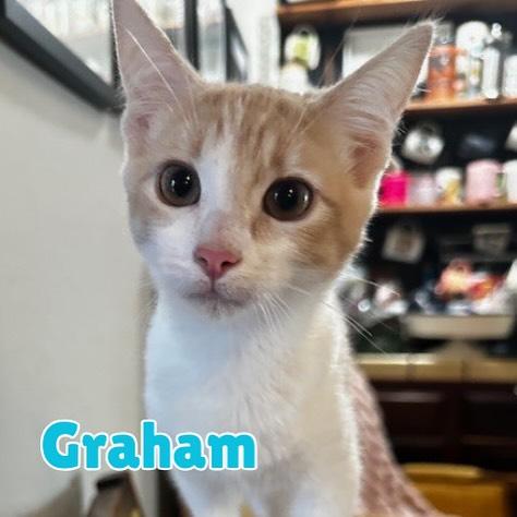 Graham