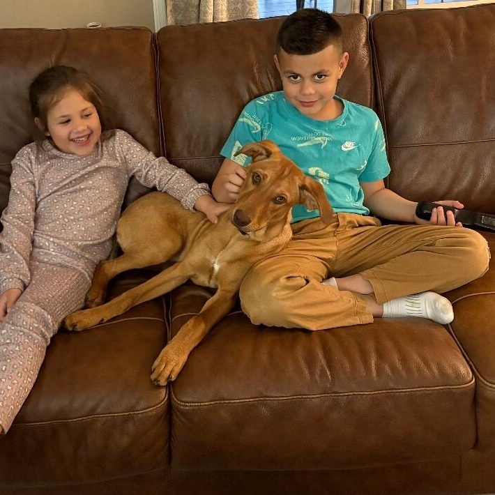 Satsuma Citrus — thumbnail 2