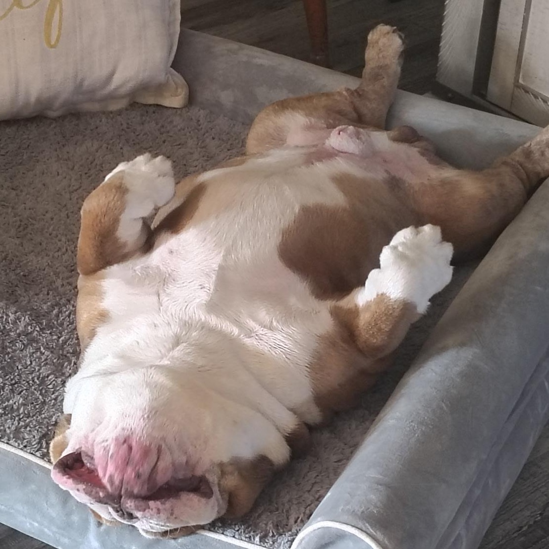 Tyson