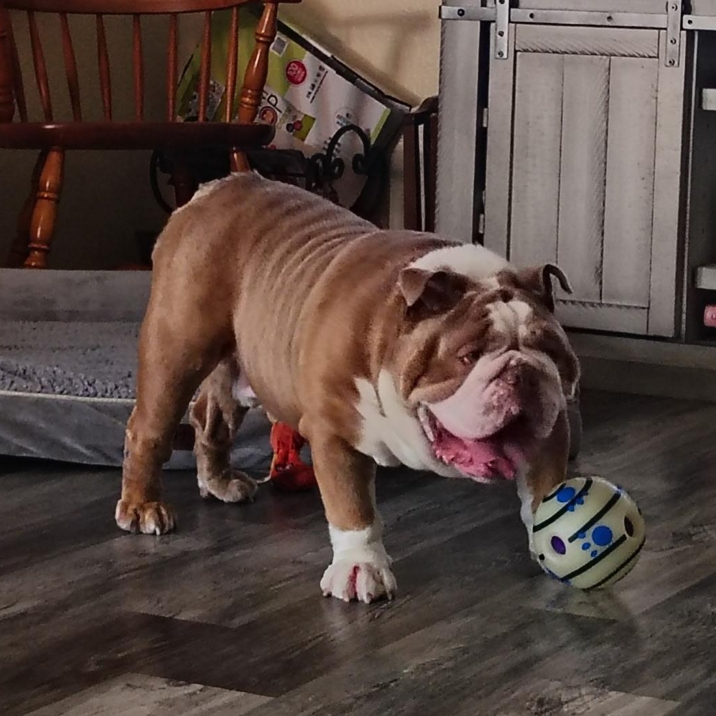 Tyson