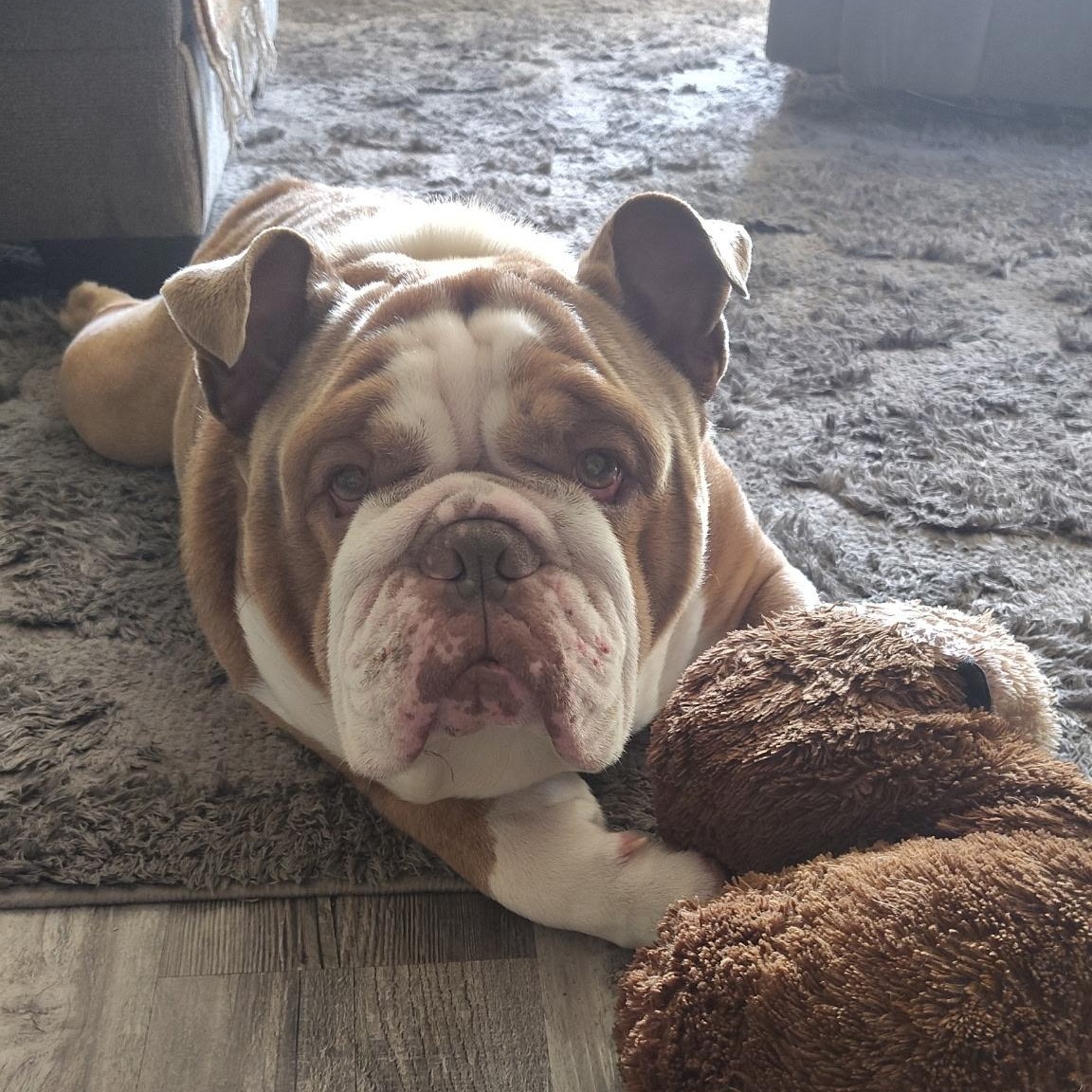 Tyson