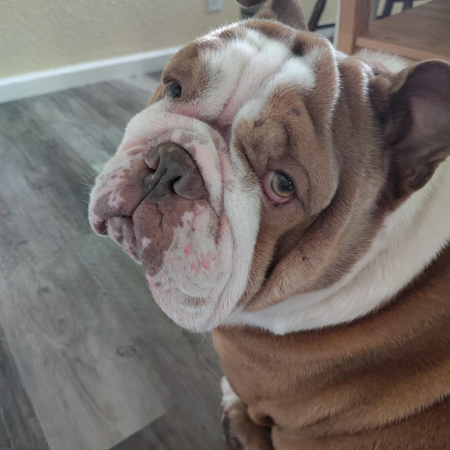 Tyson
