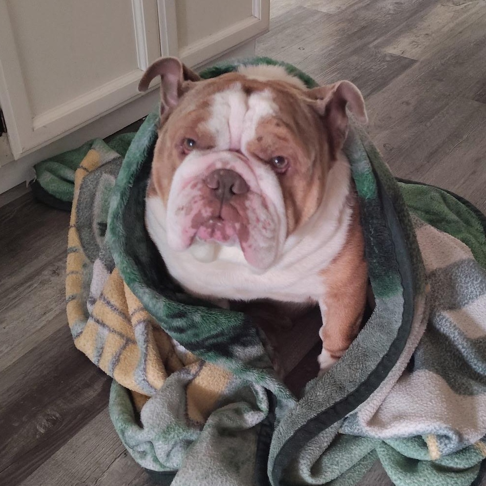 Tyson