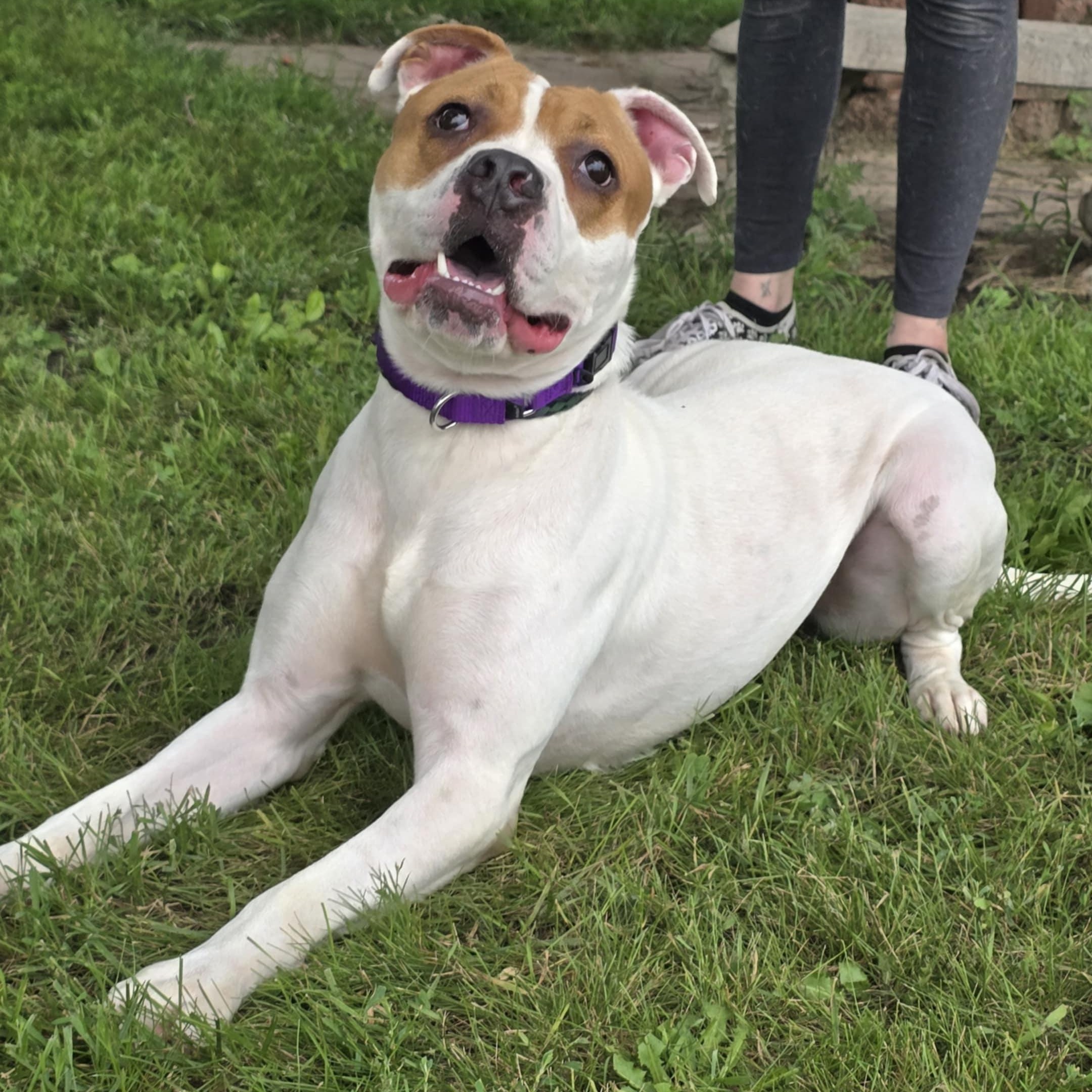 Delilah