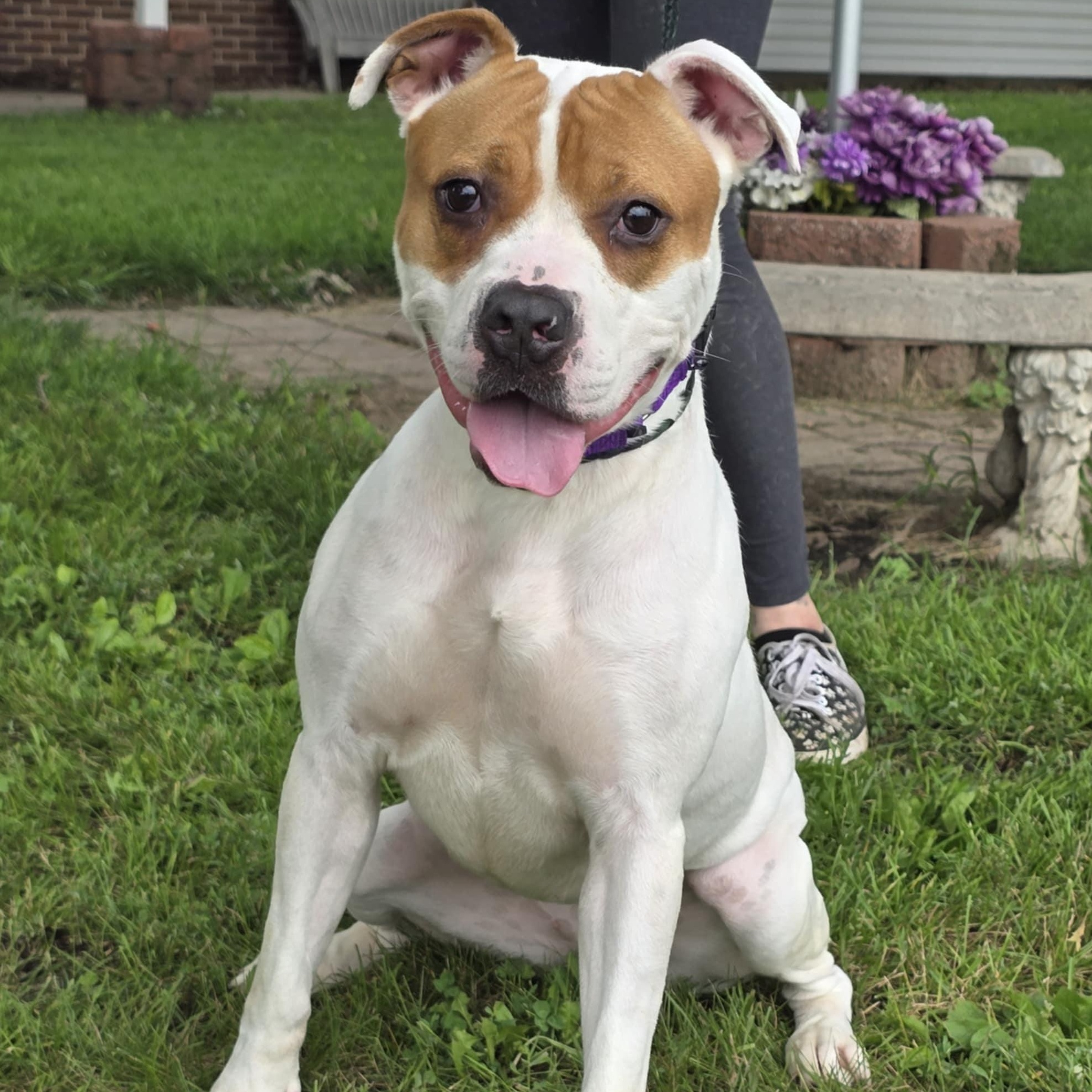 Delilah