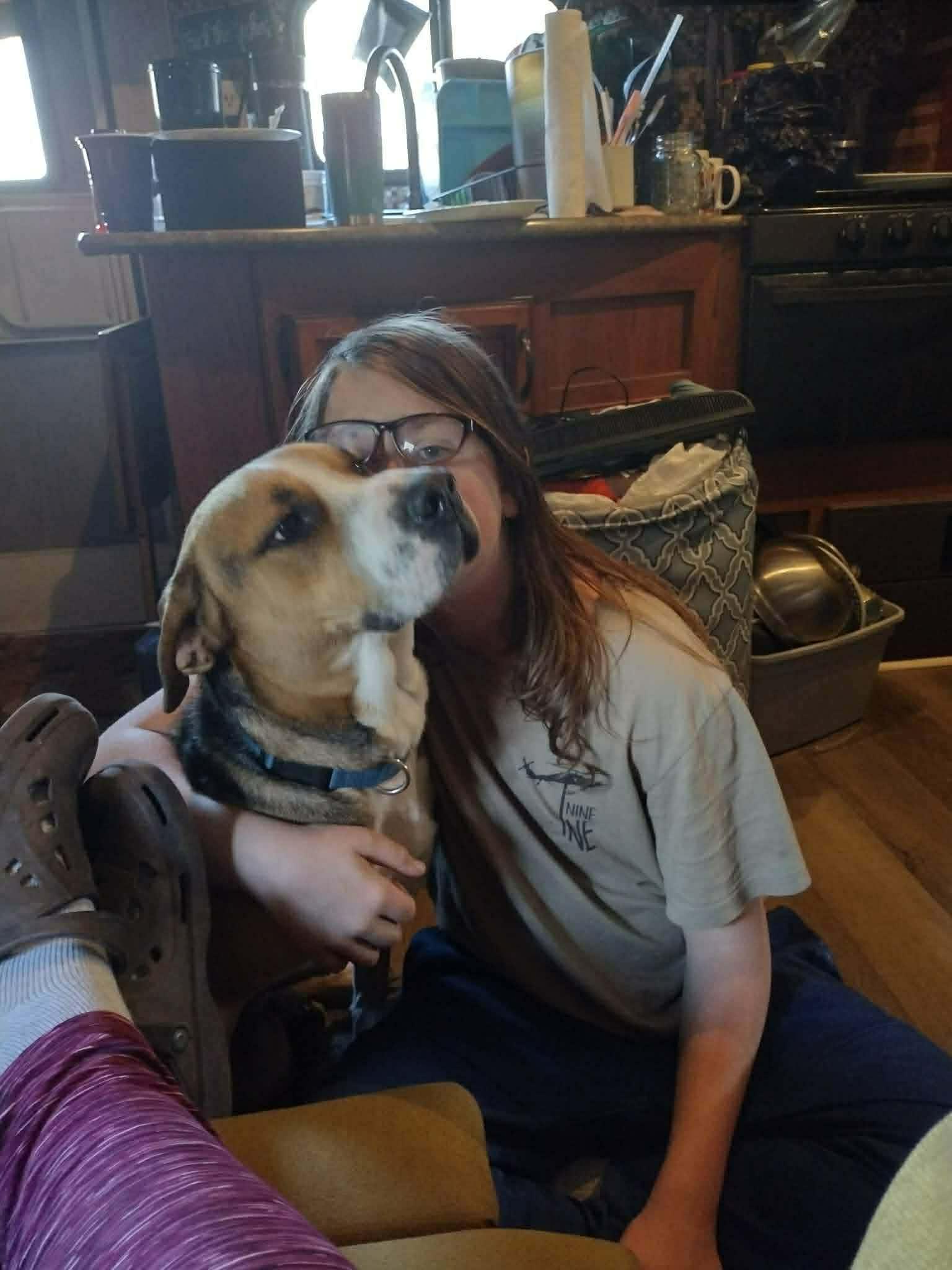Enzo, a Adoptable mixed breed in Atlanta, GA image 3/5