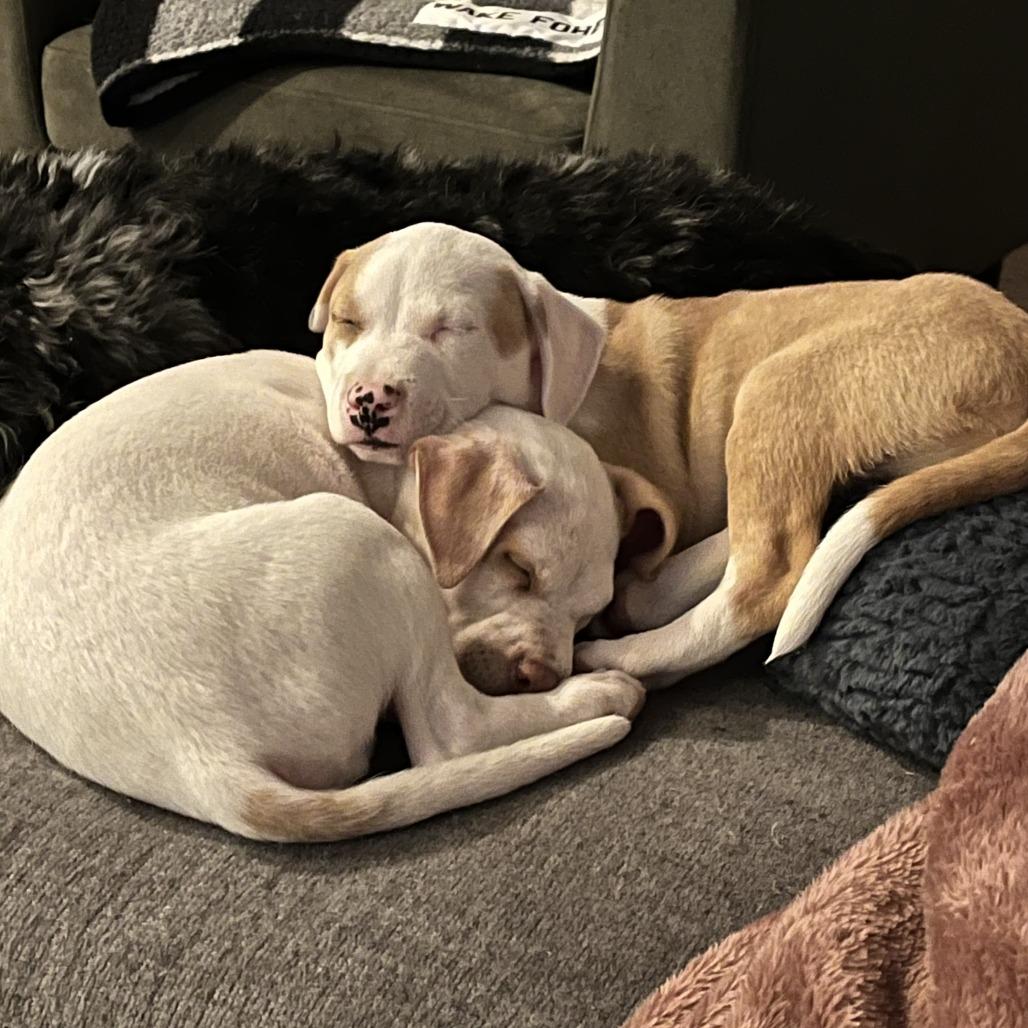 Kilo — thumbnail 2