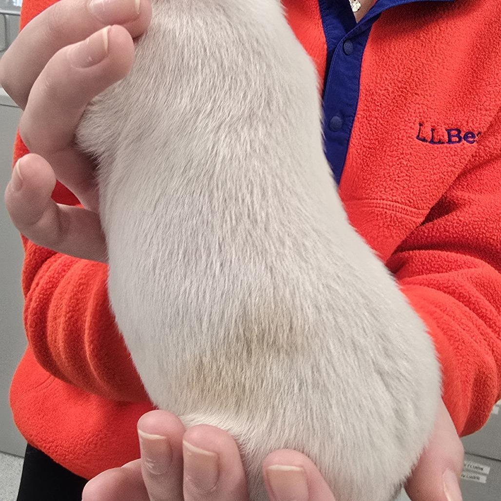 Kilo — thumbnail 4